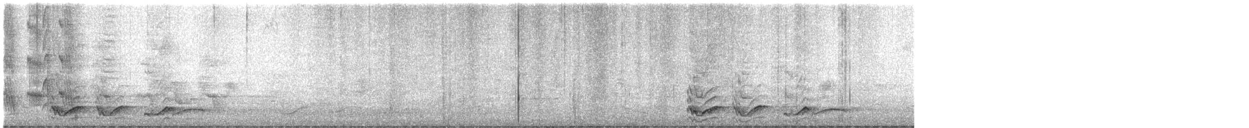 Pied Currawong - ML625974529