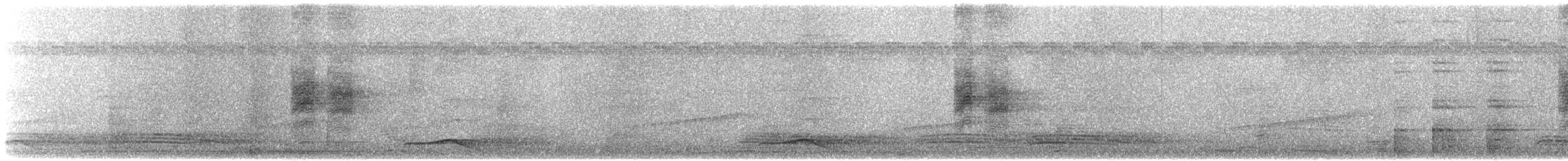 ブライスサンコウチョウ - ML625984285