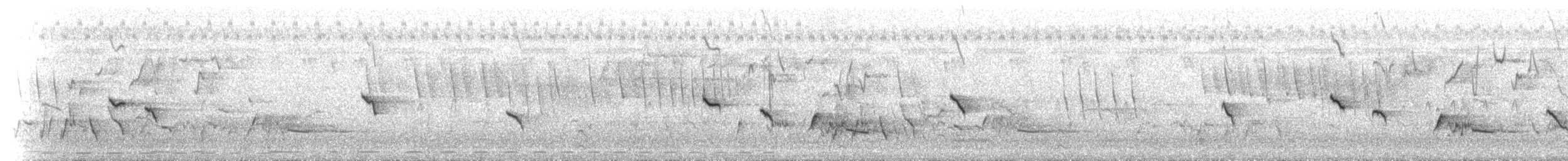 Souimanga améthyste - ML625989453