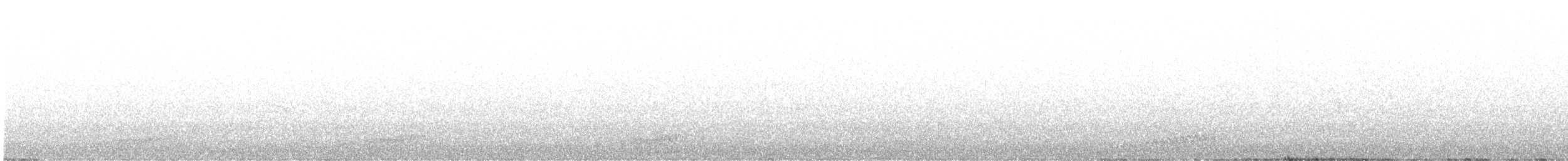 オオマダラキーウィ - ML626002631