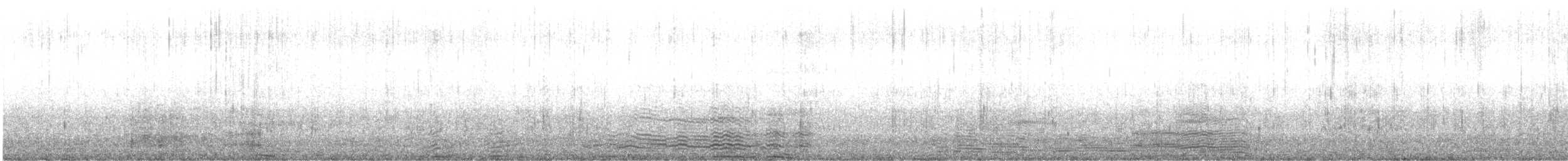 Australian Raven - ML626004704