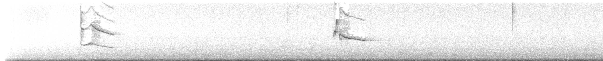 Lesser Goldfinch - ML626007231