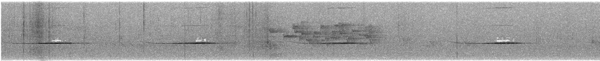 Crossley's Vanga - ML626012593