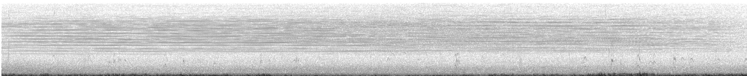 Short-billed Dowitcher - ML626013159