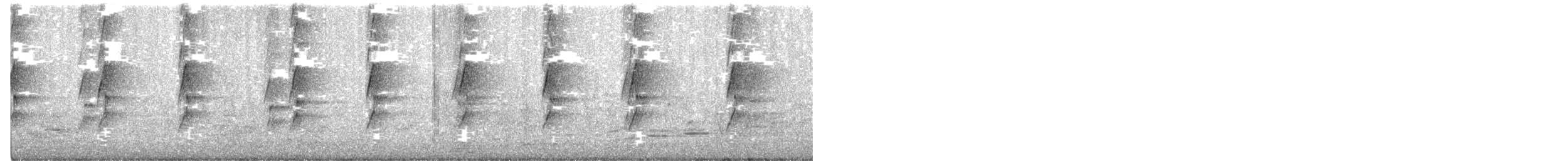 Noisy Miner - ML626021990