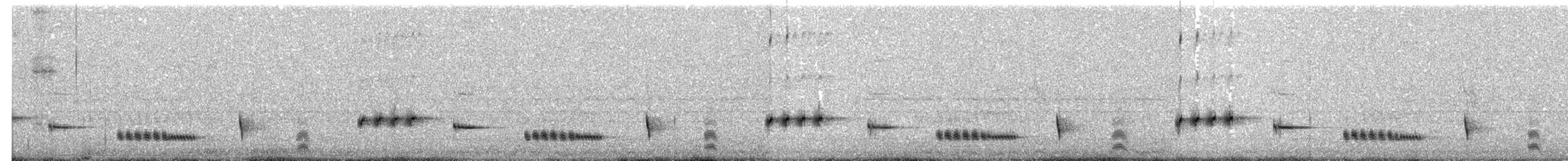 Western Whipbird (White-bellied) - ML626022166