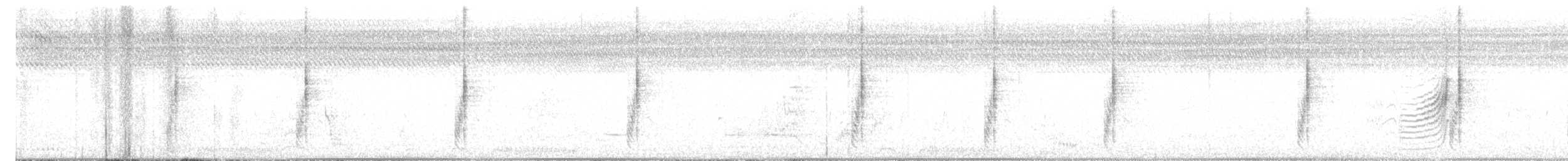 Green-backed Camaroptera (Gray-backed) - ML626023680