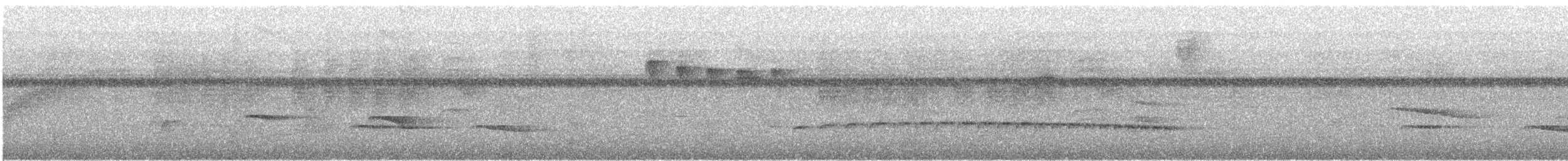 Batarito Coronipunteado - ML626026214