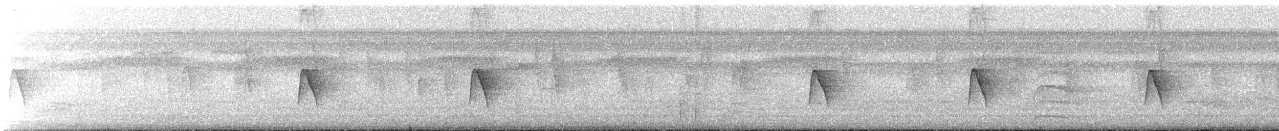 Moucherolle à ventre jaune - ML626029788