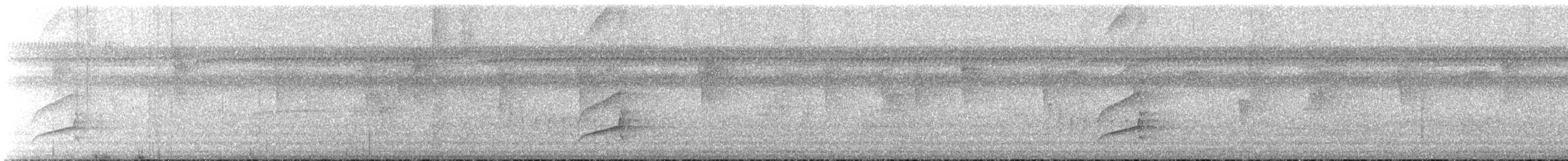 Tyran huppé - ML626029917