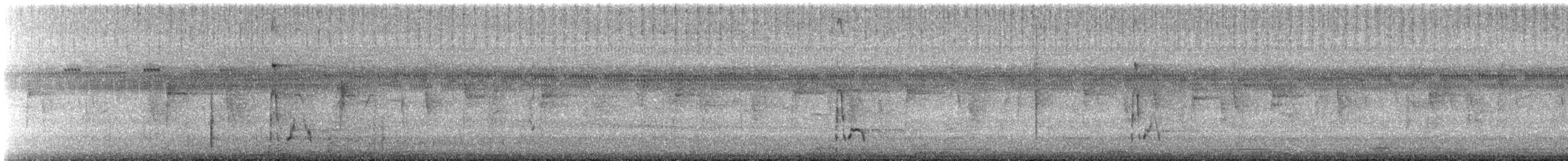 Ani à bec cannelé - ML626031791