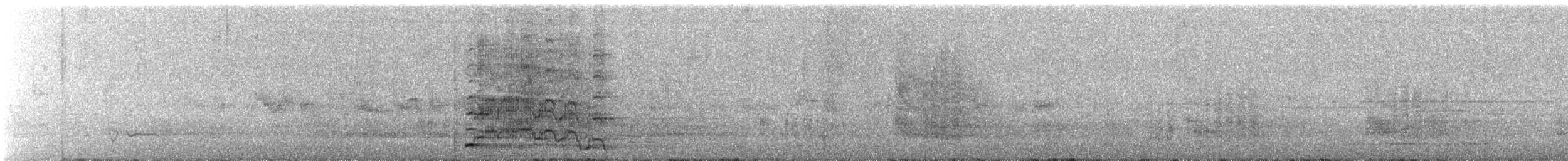 Pied Cormorant - ML626032397