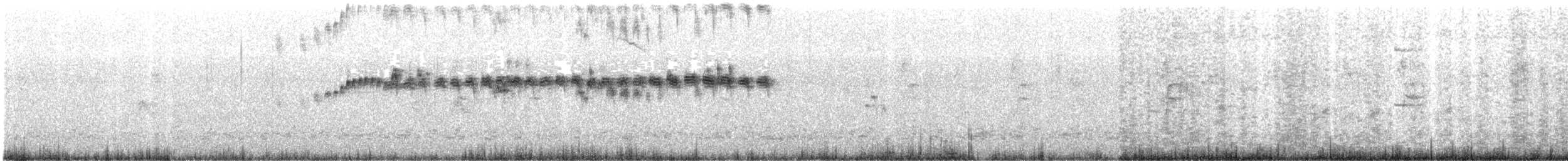 Tropical Kingbird - ML626032666