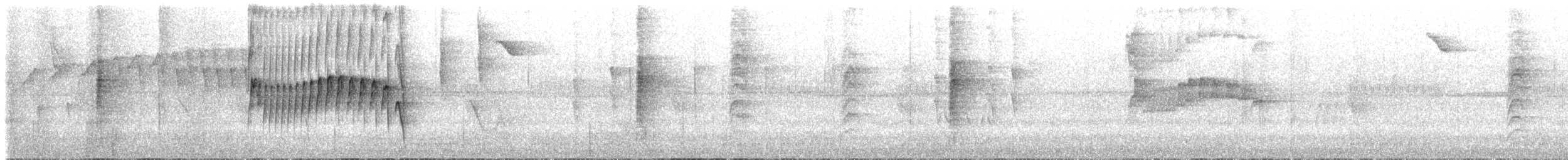 Southern Bristle-Tyrant - ML626036801