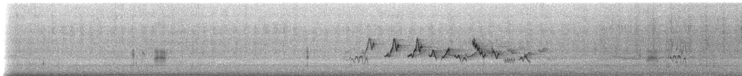 Black-tailed Tityra - ML626037458