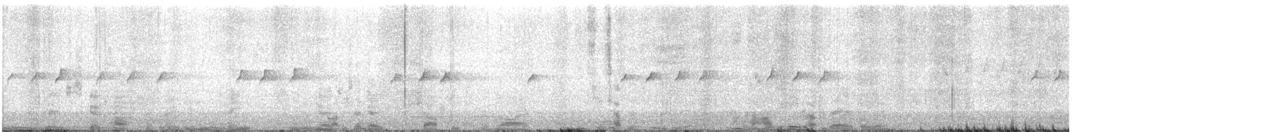 Méliphage à menton blanc - ML626038794