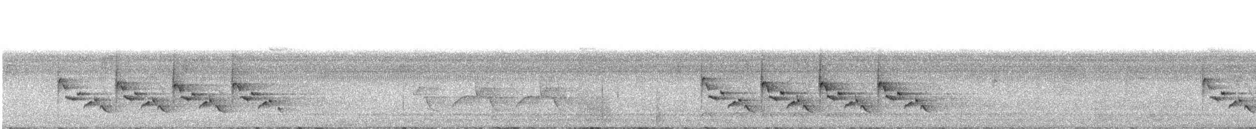 Carolina Wren - ML626040913