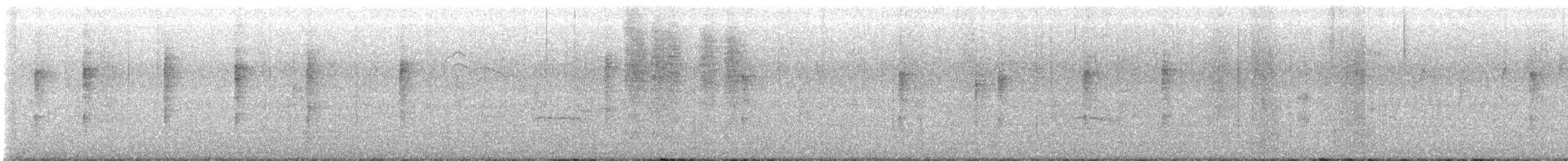new world warbler sp. - ML626042059