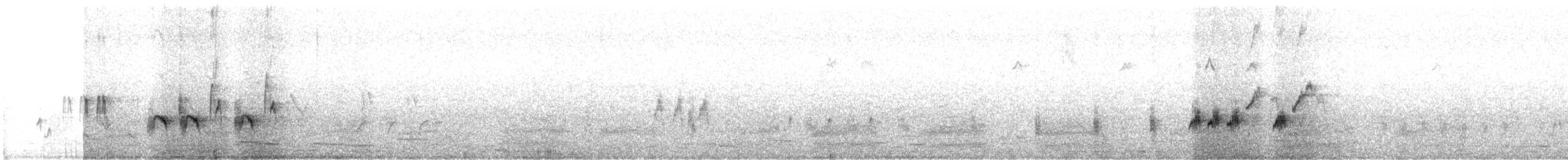 Australian Reed Warbler - ML626043726