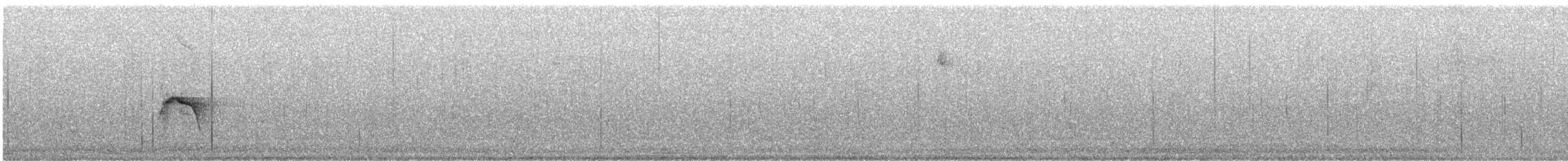 Caribbean Elaenia - ML626054531