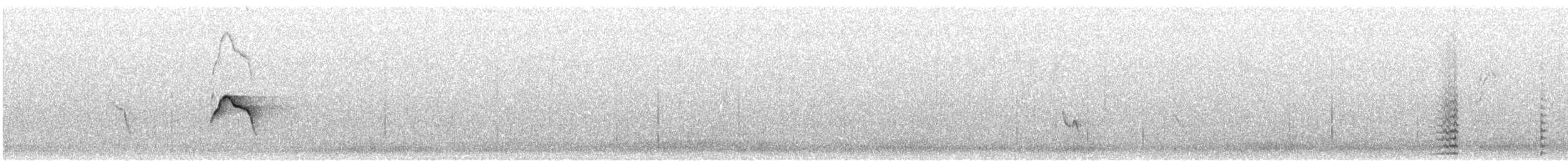 Caribbean Elaenia - ML626054532