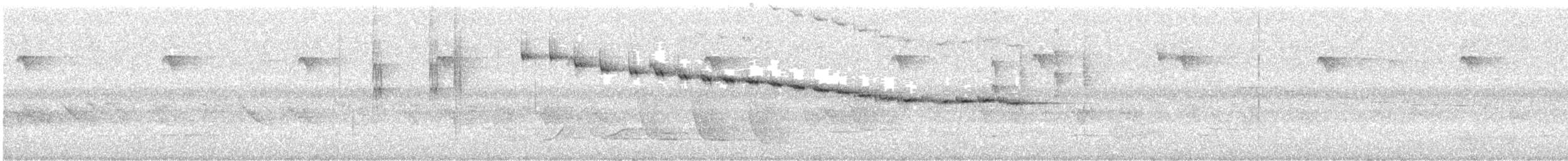 Gray Fantail - ML626056367