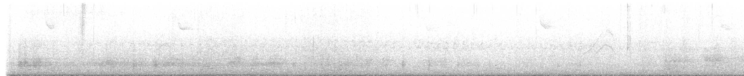 Germano reale - ML626057129