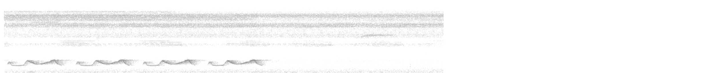 Belizenachtschwalbe - ML626057376