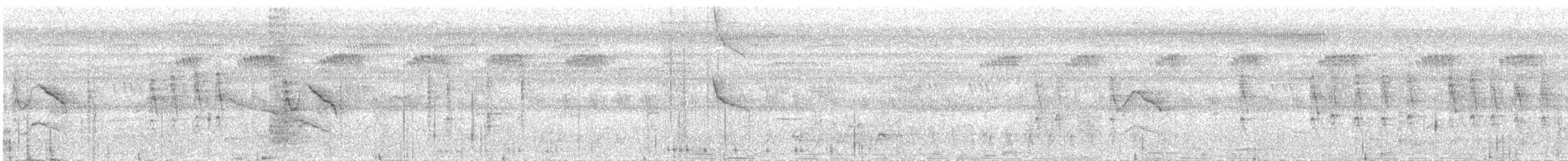 Violet-tailed Sunbird - ML626069826
