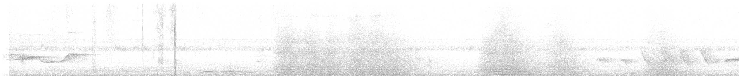Chinese Hwamei - ML626072905