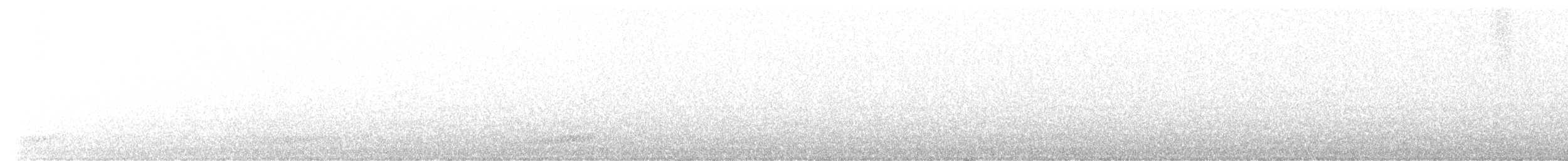 オオマダラキーウィ - ML626083186