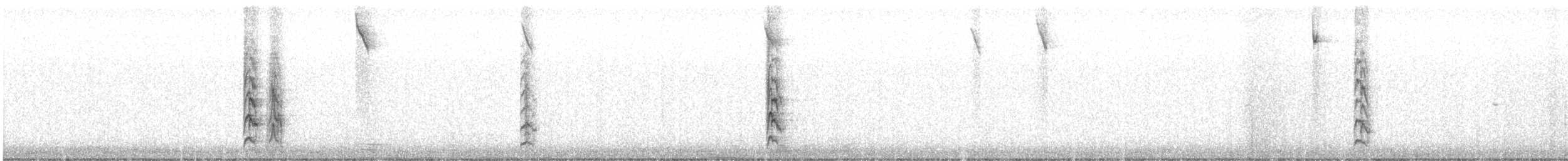 Canyon Towhee - ML626083392