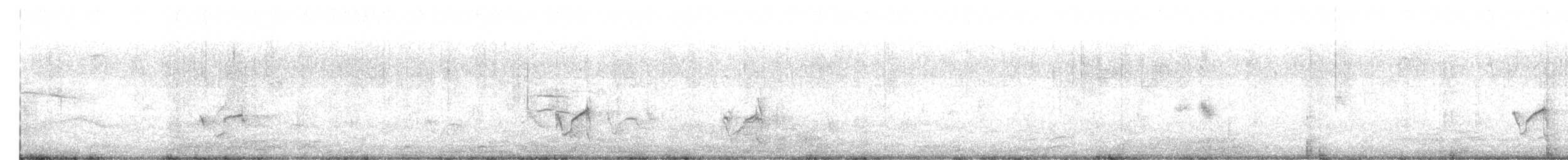 Semipalmated Plover - ML626084078