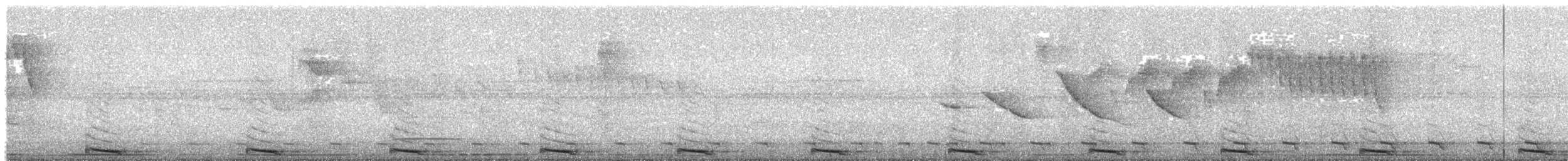 ギンムネカッコウ - ML626085235