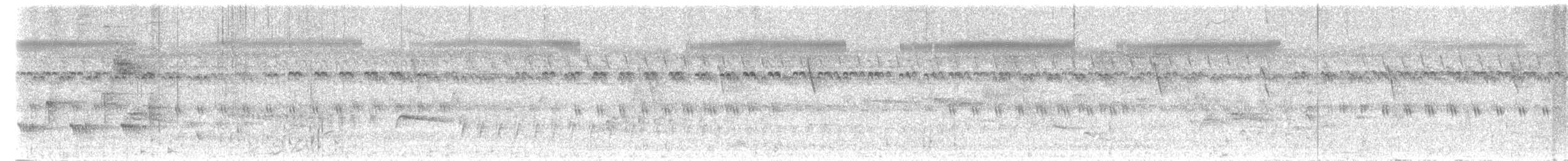 Bronzed Drongo - ML626088007