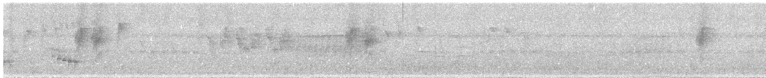 Black-naped Monarch - ML626088247