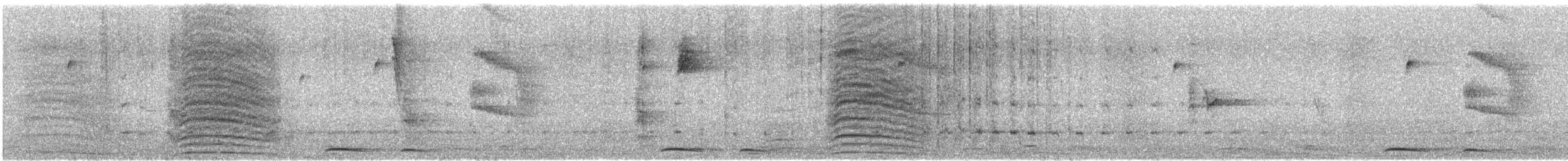 Eurasian Collared-Dove - ML626103151