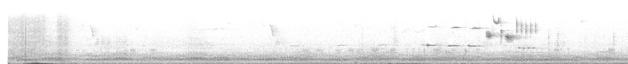 Sandhill Crane - ML626105286
