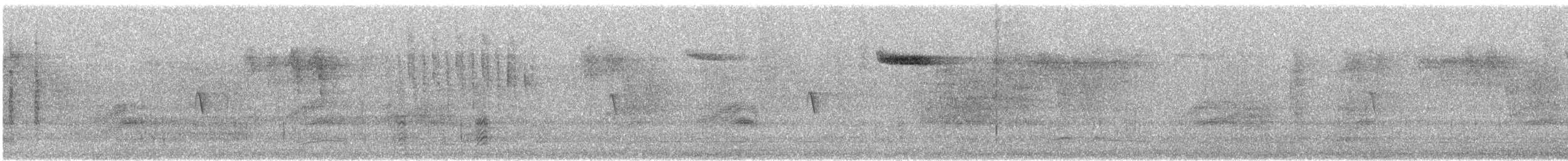 Brown Creeper - ML626108854