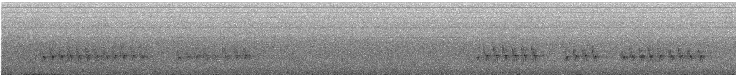 Eurasian Nuthatch (White-bellied) - ML626114174