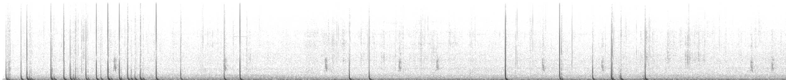 Hermit Thrush - ML626114252