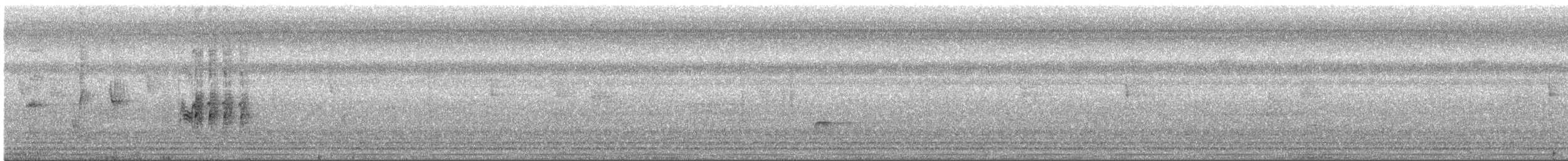 Wedge-tailed Sabrewing - ML626124310