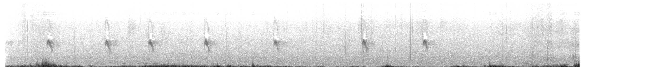 Canyon Wren - ML626133382