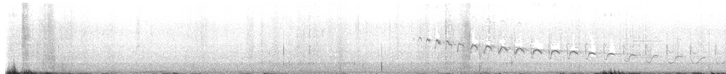 Canyon Wren - ML626133388