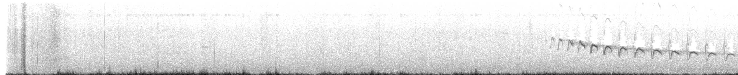 Canyon Wren - ML626134527