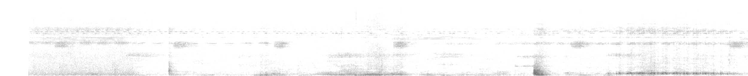 Band-bellied Owl - ML626138496