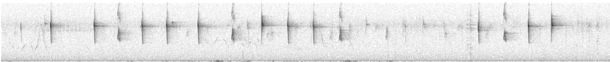 White-vented Violetear - ML626138859