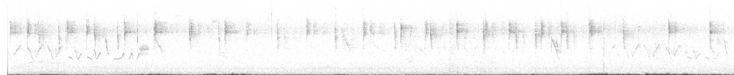 White-vented Violetear - ML626139699