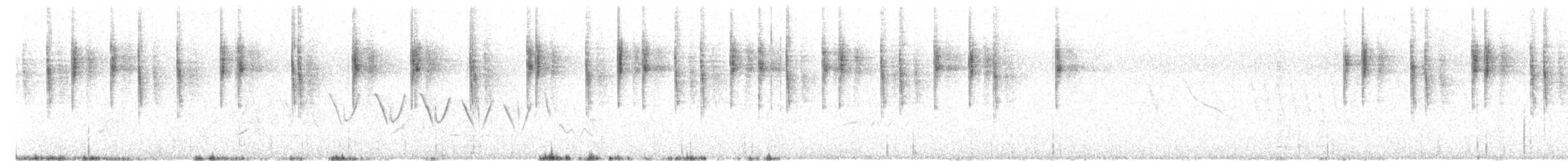 White-vented Violetear - ML626139700