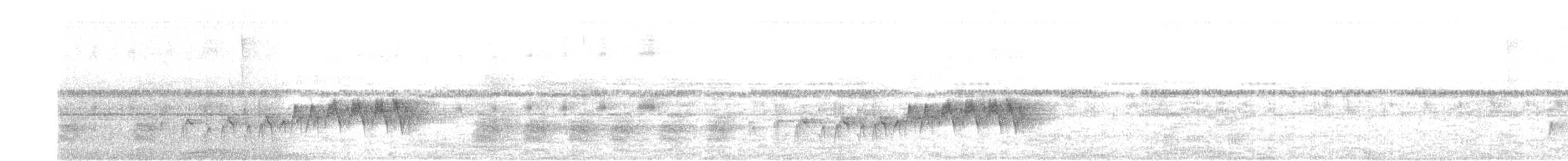 Two-banded Warbler - ML626139724